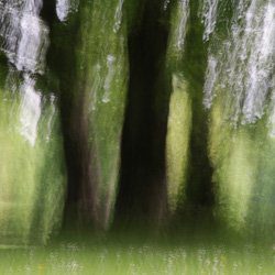 Englischer Garten I - 1746, Fotodruck auf Aluminium-Dibond, 125 x 125 cm, limitierte Auflage, 2010, 1.190 Euro